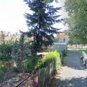 obrazek: avatar ZEMANOVÁ RENATA