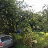 BEČIČKA MILOSLAV Ing.