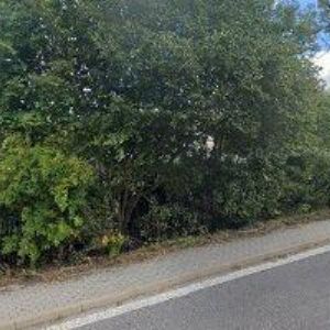 obrazek: avatar CABRNOCH BOHUMIL