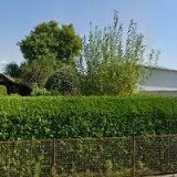 COGAN MIROSLAV PhDr.