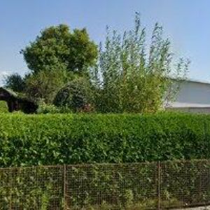 obrazek: avatar COGAN MIROSLAV PhDr.