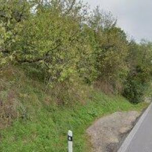 obrazek: avatar ADAMIČKO KAREL