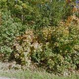 ČEZ SOLÁRNÍ s.r.o.