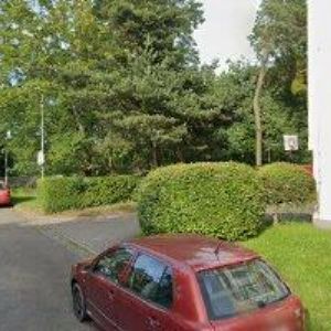 obrazek: avatar ZEMEK KAREL