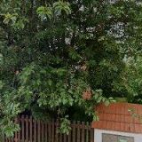 ČERNÍK JIŘÍ Ing.