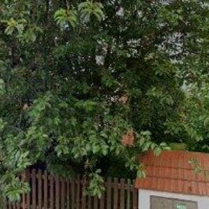 obrazek: avatar ČERNÍK JIŘÍ Ing.