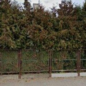 obrazek: avatar RAŠKA PAVEL Ing.