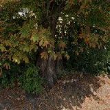 VESELKA FRANTIŠEK doc. Ing. CSc.