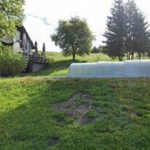 obrazek: avatar ANAHITA s.r.o.