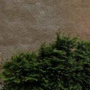 obrazek: avatar STŘEDISKO PRO RANOU PÉČI LIBEREC