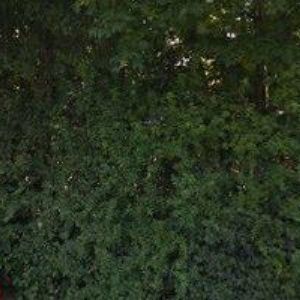 obrazek: avatar DIAKONIE VALAŠSKÉ MEZIŘÍČÍ-DŮM SOCIÁLNÍCH SLUŽEB