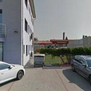 obrazek: avatar AZYLOVÉ BYDLENÍ CUSANUS