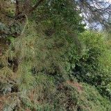 KLEMPÍŘSTVÍ-POKRÝVAČSTVÍ VALENTA + KADLEC