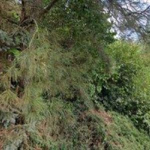 obrazek: avatar KLEMPÍŘSTVÍ-POKRÝVAČSTVÍ VALENTA + KADLEC