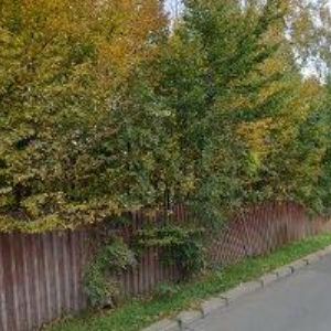 obrazek: avatar SYBAN, s.r.o.