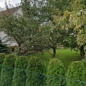 obrazek: avatar CIMBÁL BOHUMIL-INSTALATÉRSKÉ PRÁCE A TOPENÍ