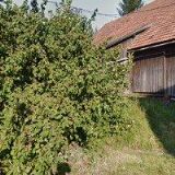 KOVEST, spol. s r.o.