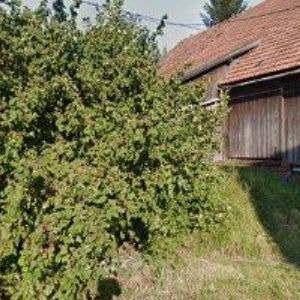 obrazek: avatar KOVEST, spol. s r.o.