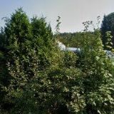 AKUSTICKÉ A IZOLAČNÍ STAVBY, s.r.o.