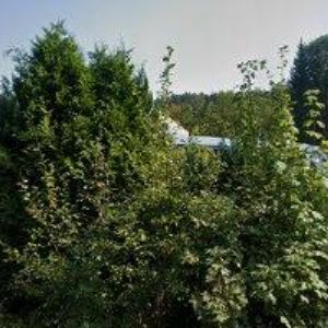 obrazek: avatar AKUSTICKÉ A IZOLAČNÍ STAVBY, s.r.o.