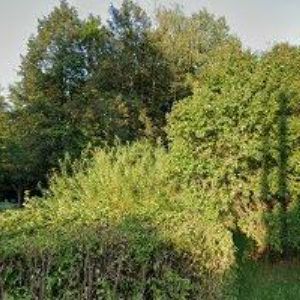 obrazek: avatar FALTUS LUKÁŠ