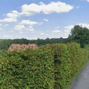 obrazek: avatar PAXART STUDIO