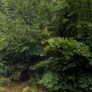 obrazek: avatar HABA PAVEL