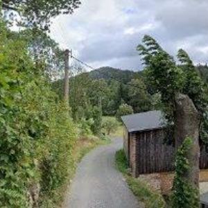 obrazek: avatar TANEČNÍ ŠKOLA JOSEF SVOBODA