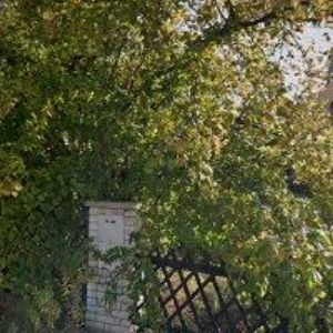 obrazek: avatar JABLONECKÉ KLARINETOVÉ KVARTETO