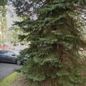 obrazek: avatar AK-SLAVÍK VRATISLAV JUDr.