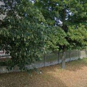 obrazek: avatar FOLKLORNÍ SOUBOR BALDRIÁN, z.s.