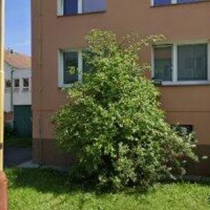 obrazek: avatar NOTABENE BOJKOVICE z.s.
