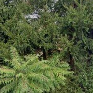 obrazek: avatar M3 INVEST s.r.o.