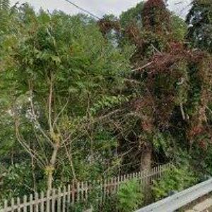 obrazek: avatar RULEC ZBYNĚK