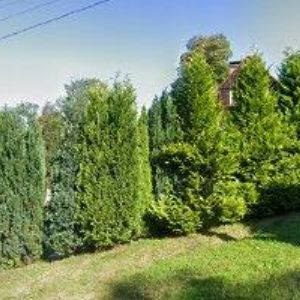 obrazek: avatar BUSINESS TIES s.r.o.