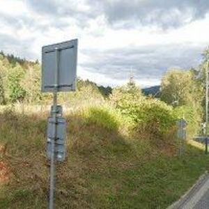 obrazek: avatar TOMÁŠ RADEK