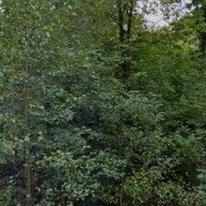 obrazek: avatar DUDKA ZDENĚK