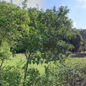 obrazek: avatar TRMAL JAN