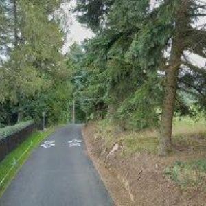 obrazek: avatar RAJN IVAN