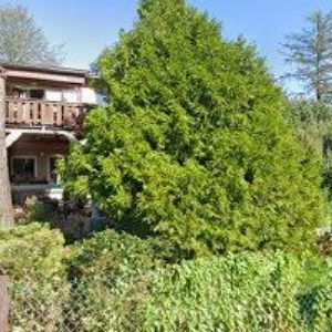 obrazek: avatar SKH HOLLÝ KAREL STAVEBNÍ FIRMA