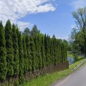 obrazek: avatar POLÁČEK ROMAN