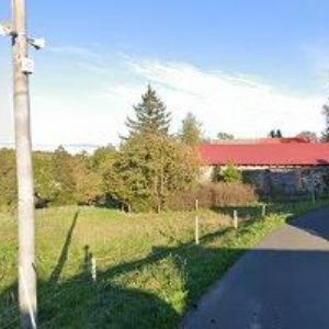 obrazek: avatar OLŠÁK RUDOLF