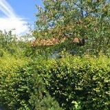 NOVOTNÝ TOMÁŠ-STAVEBNÍ PRÁCE