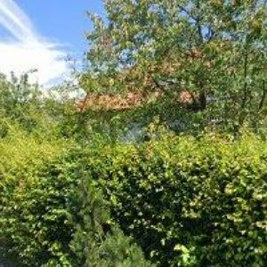 obrazek: avatar NOVOTNÝ TOMÁŠ-STAVEBNÍ PRÁCE