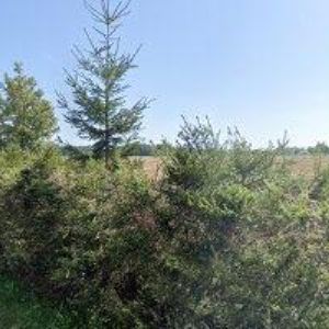 obrazek: avatar TRUS STAV