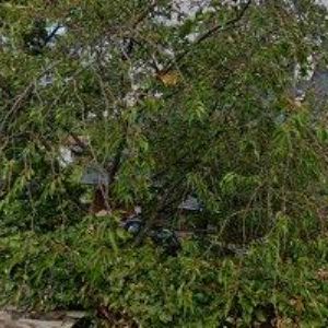 obrazek: avatar AK-VANČUROVÁ JAROSLAVA JUDr.