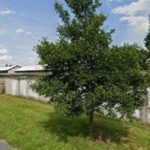 obrazek: avatar CME REALITY