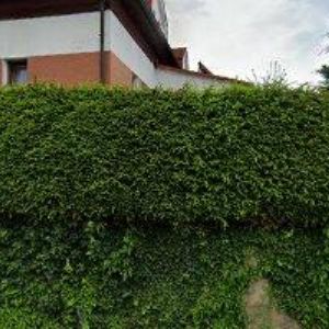 obrazek: avatar PEOPS s.r.o.