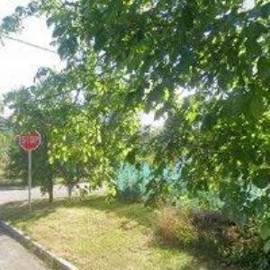 obrazek: avatar HLUCKÝ JOSEF