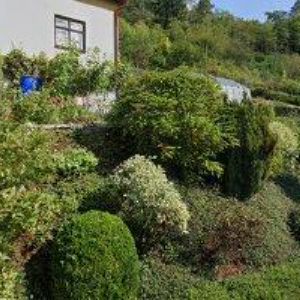 obrazek: avatar AK-MOTLÍK VLASTIMIL JUDr.